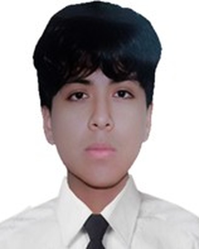 Joel Huamani Estefanero